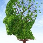 Study suggests Western medicine has a misguided approach to treating dementia