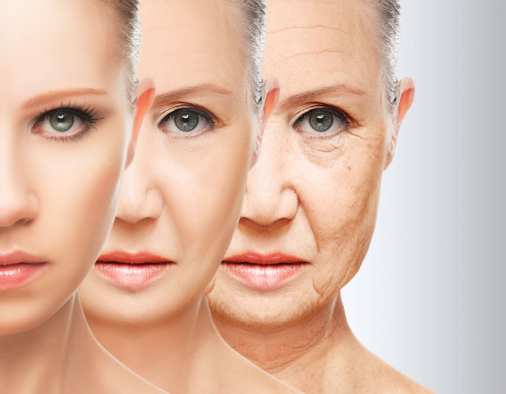 skin aging